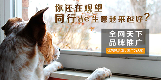 全網營銷